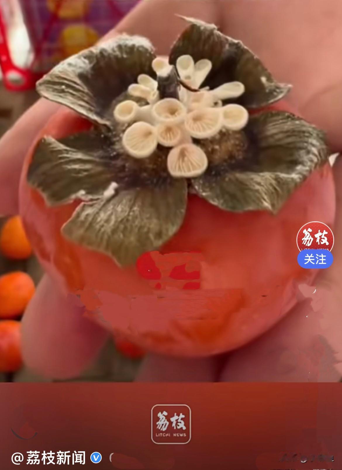 近日，石家庄一位女子逛水果店挑选柿子，随手拿起一个柿子掂量，感觉手感和普通柿子差