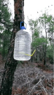 物理学呢？牛顿直呼好家伙