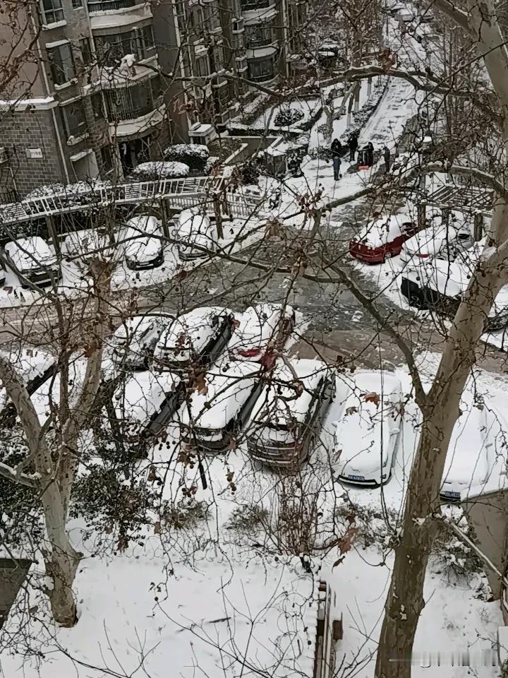 郑州这两天下雪了，原来预报的是大雪到暴雪，学校的都暂时停课了。可下的雪出人意料，