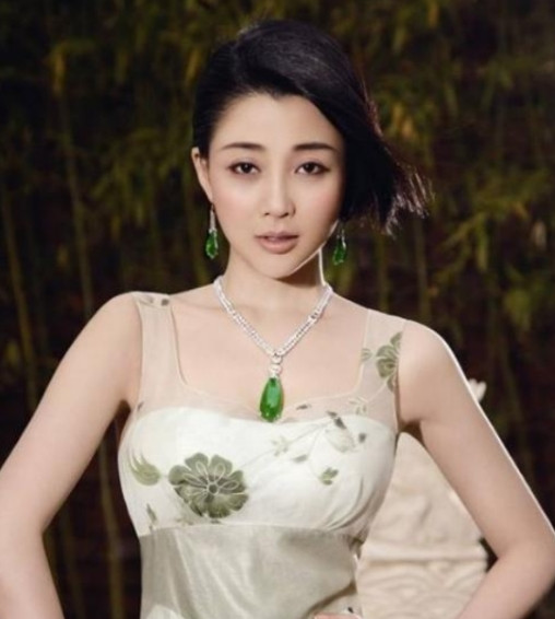 当年，殷桃在富豪孙东海的疯狂追求下，成为了他的女人，没想到孙东海又惦记上了女星李