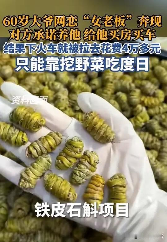 人财两空！5月30日，河南广播电视台曝光了一件让人看得特别揪心的事。四川一名60