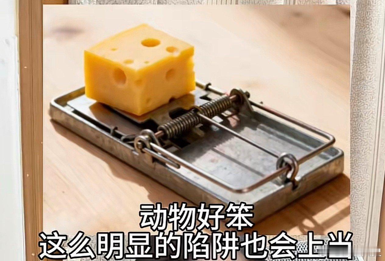 金价又大涨了下午刚刷着这俩图，不说有没有道理哈，挺好玩的[捂脸哭][笑着哭][笑cr