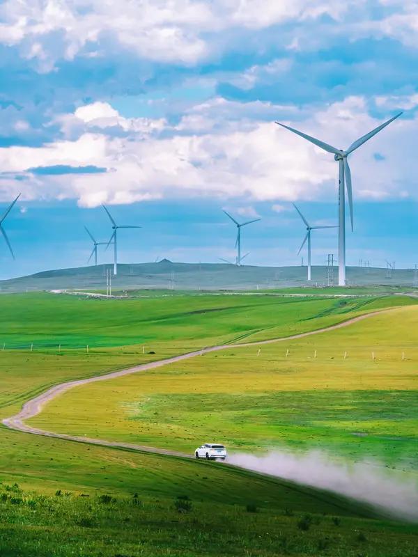 这下好了，不光内蒙古icon，全国人民都晓得了！有位银行员工名叫高伟，十多年间