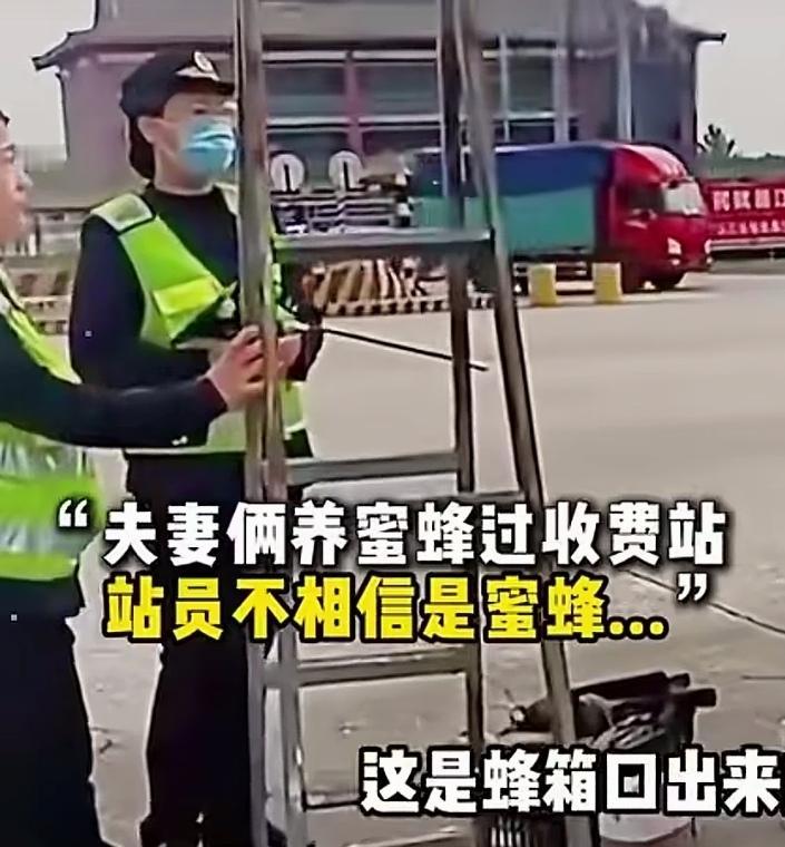 养蜂人过收费站，站员非说从蜂箱爬出来的不是蜜蜂，要么开箱检查，要么缴费。养蜂人不