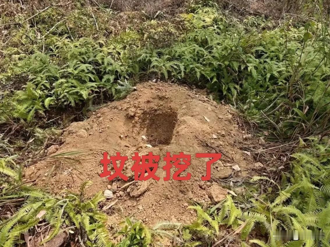 凌晨五点，整个城市还沉浸在熟睡中，浙江临海的小美，却被一通突如其来的电话，吓得浑
