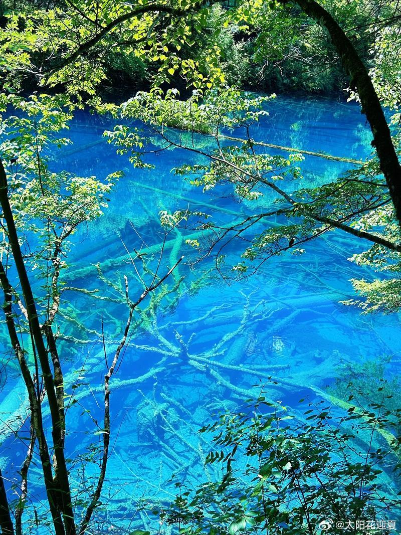 VOGUE九寨沟活动微博旅行ing当顶级时尚邂逅九寨灵山秀水，山林为幕，清风作
