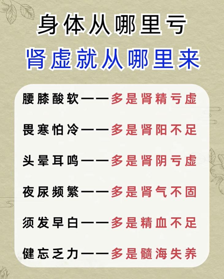 腰膝酸软、夜尿多，分清肾精、肾阳、肾阴亏虚