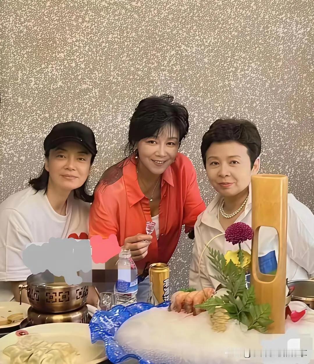 三位歌唱家里，毛阿敏的颜值最普通，但她的气质最好，三位知名女歌唱家难得线下相聚同