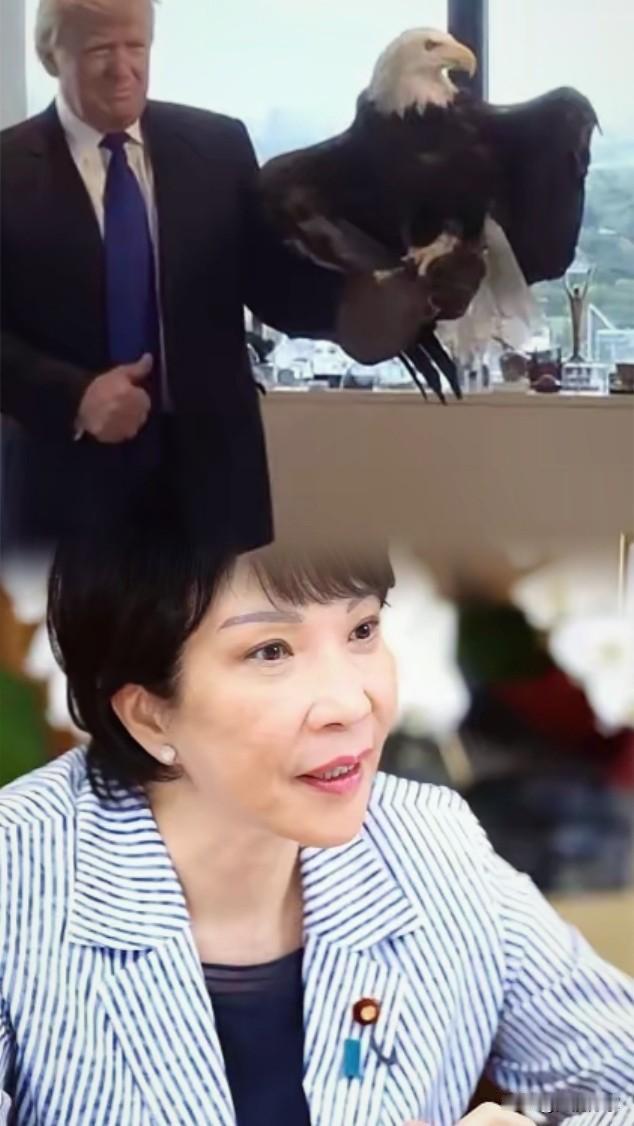 刷到这个消息我真的惊！大家还在眼巴巴等高市的一句道歉，结果特朗普反手就甩出个