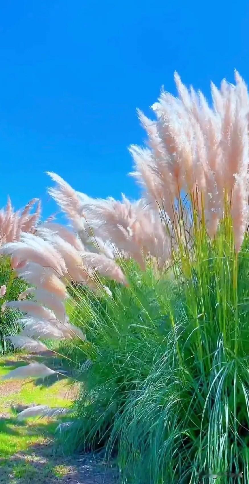 我老公有个发小在陕西干煤矿，都是三个月回家一次。有一次他想来个惊喜就不声不响提前