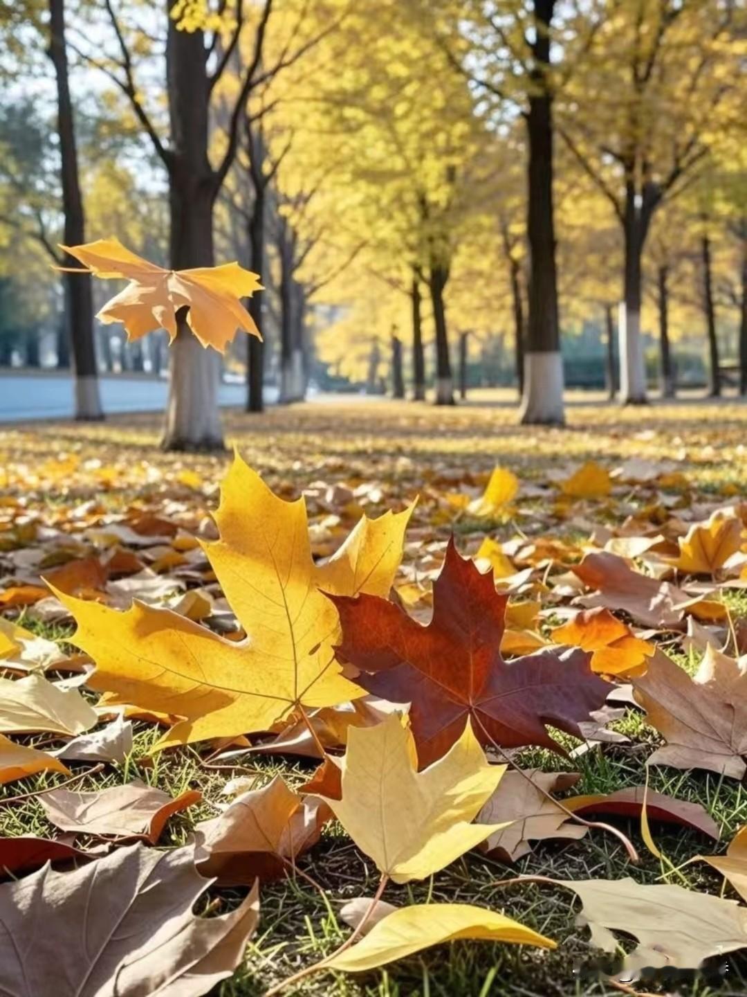 上句：秋吹落叶黄，求下联是什么风送桂花香
