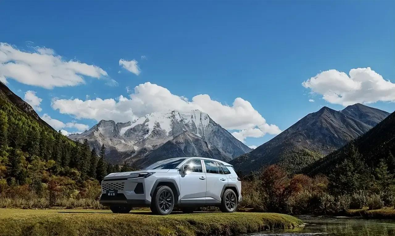 朋友前几天去看车，本来预算就十五六万，结果被销售小哥一句“13.78万起，还终身