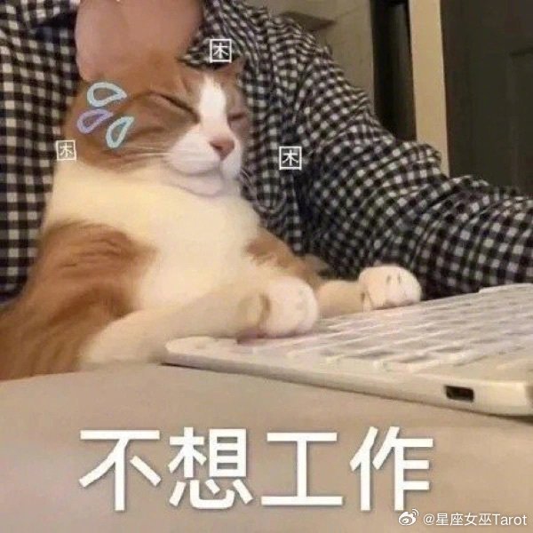 十二星座摸鱼天赋排名：1、双子：摸鱼天花板，聊天吃瓜两不误2、射手：主打随心所欲