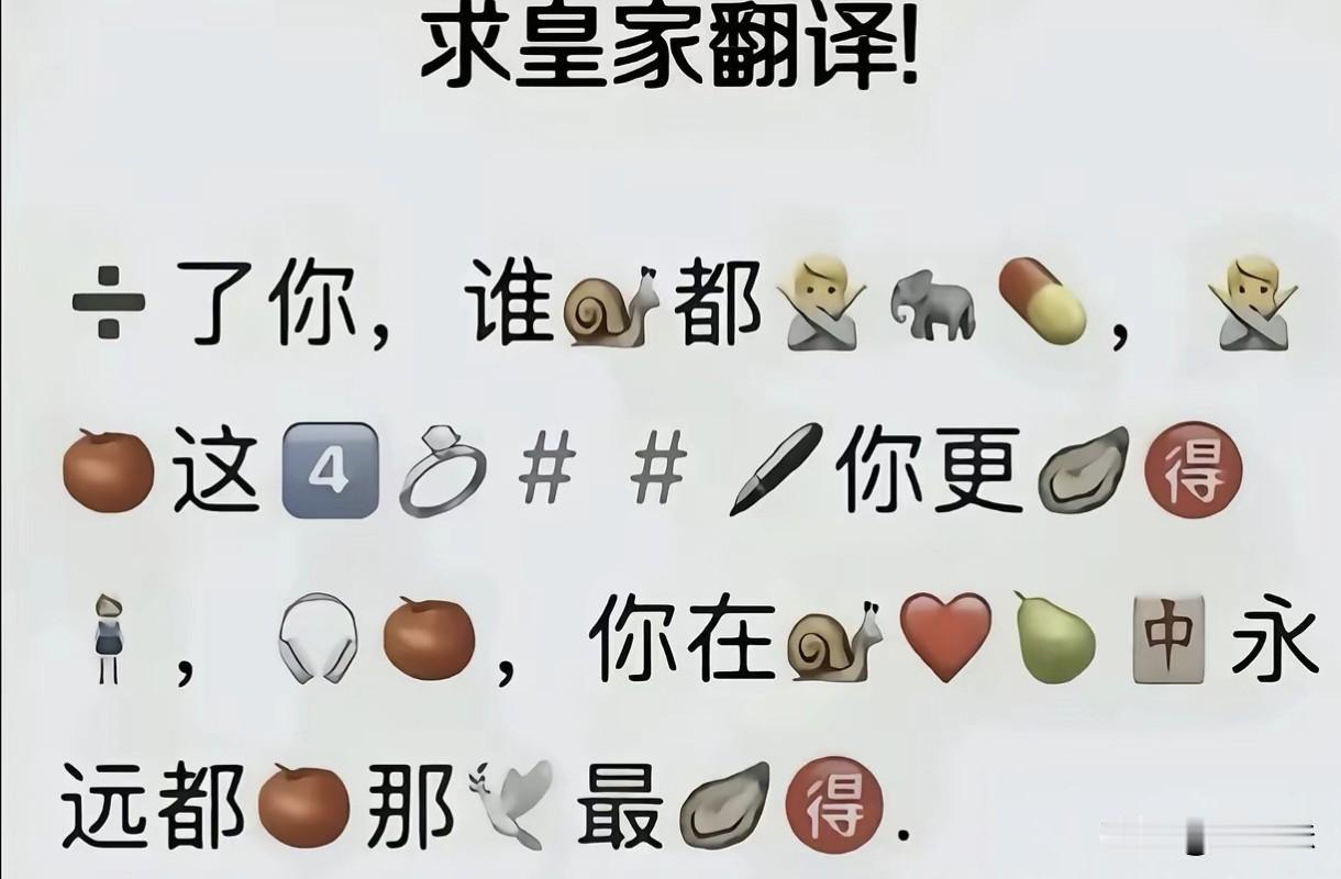 快去把翻译官请来