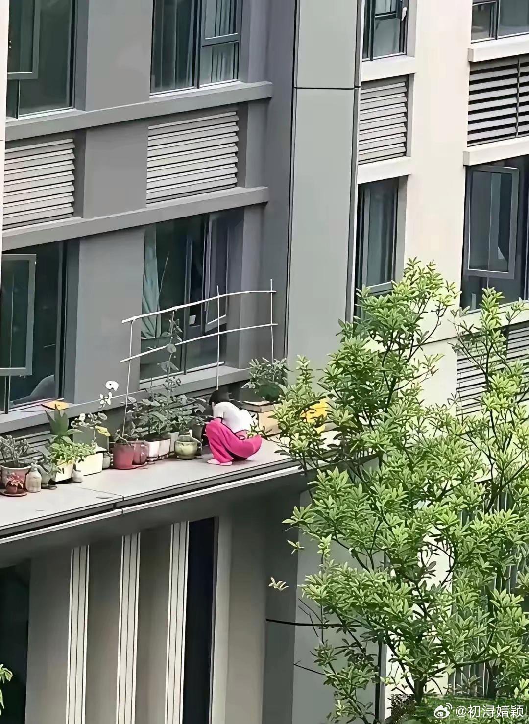 主人家心真大，在阳台上养花​​​