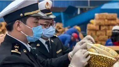 “赚中国人钱还毒害中国人？可谁能料到，泰国榴莲这事越挖越吓人，这泰国榴莲里竟藏着