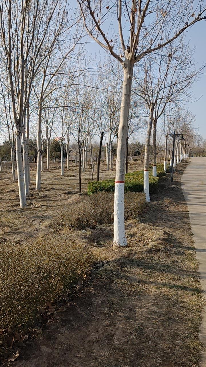 他被盯上了？有个人，对朋友说：“约起来。”到了公园门口，见一辆特警的车停靠。他