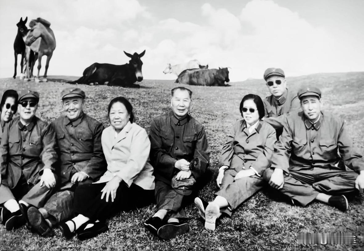 80年代初，杨成武从副总参谋长兼福州军区司令员岗位上退下来后，非常想念老部队，于
