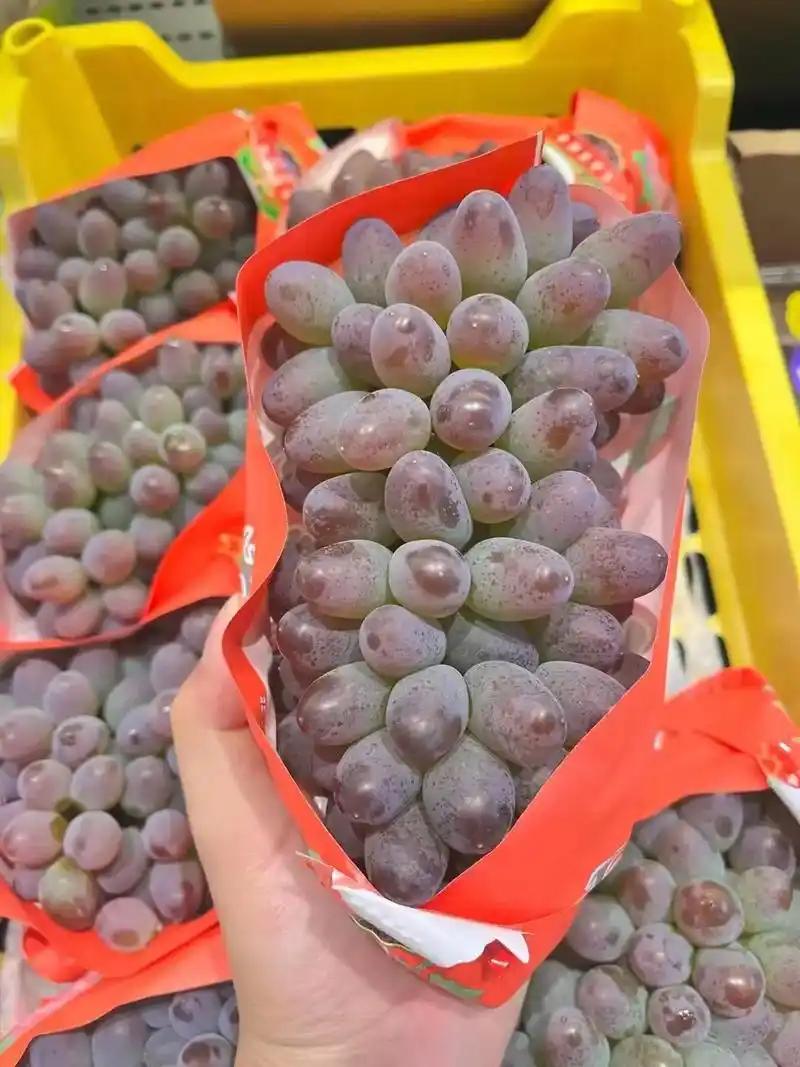 夏日水果🍇茉莉香葡萄值得吃！被称为「葡萄界香水」的茉莉香葡萄，一口直接封神！