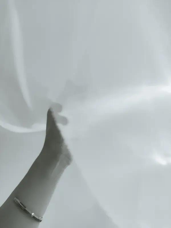 亮剑海外：中国舰队必须开到“背信弃义”者的家门口近期，从荷兰的安世半导体风波