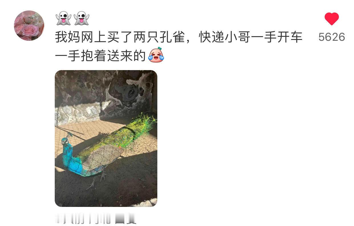《爹妈网购的东西有多离谱》