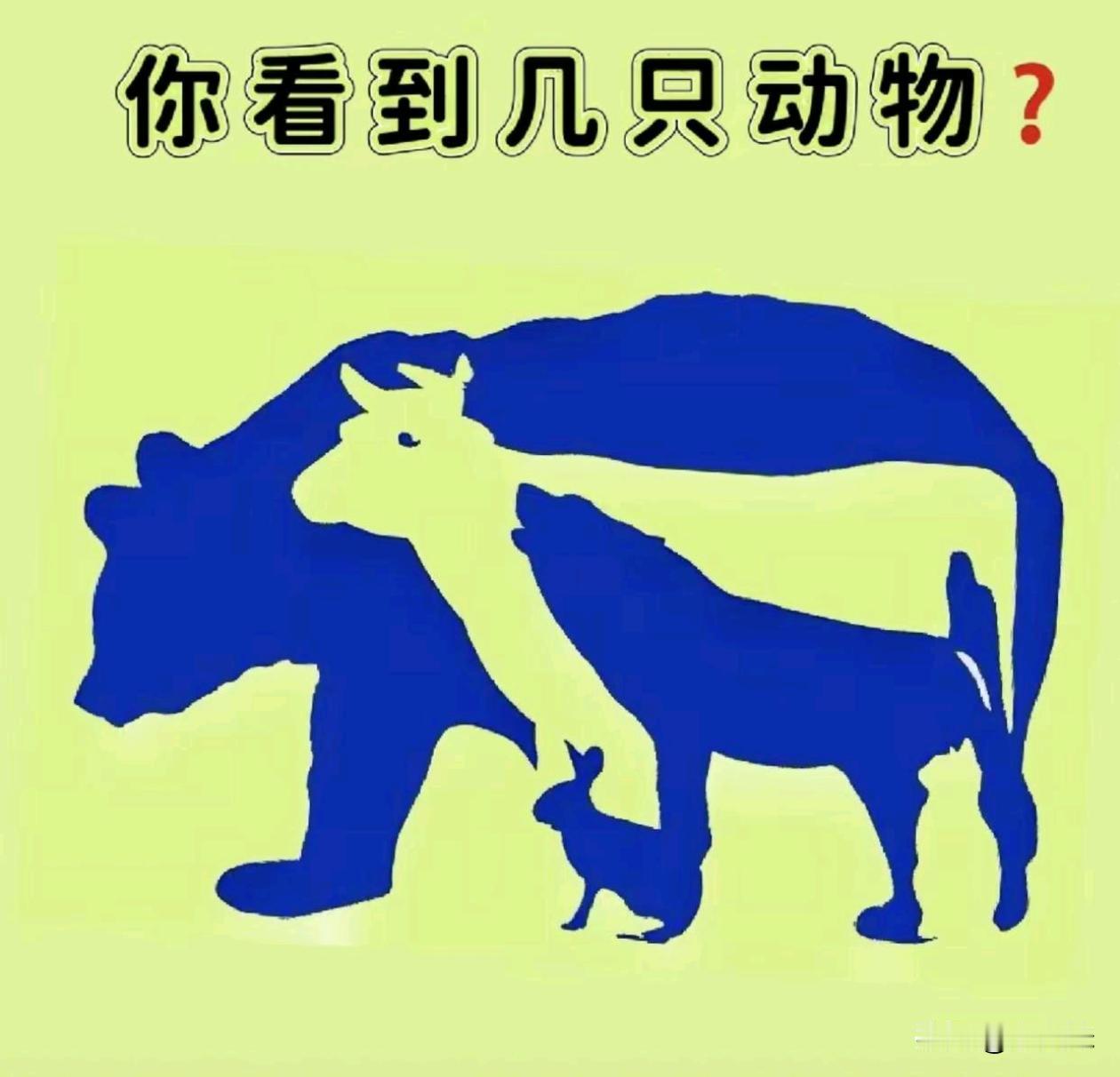 图中你能看到几种动物？