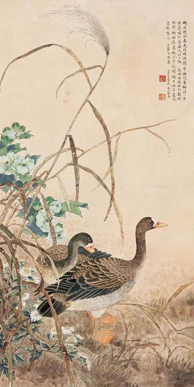 陈之佛为什么把工笔花鸟画得这么干净！有些花鸟画，第一眼靠艳；陈之佛的画不一样