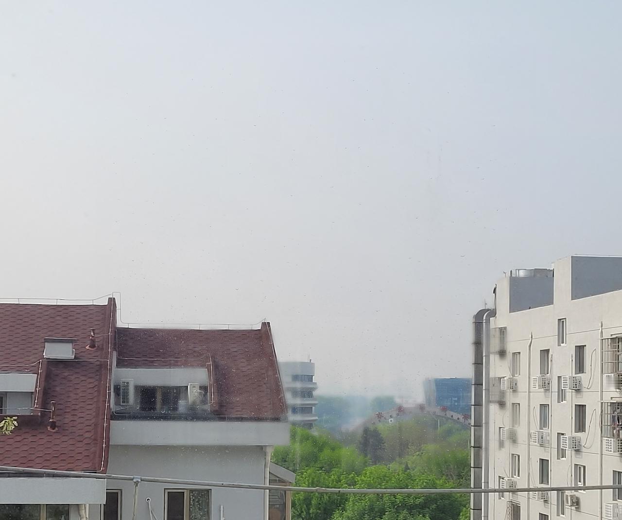 退休后最怕5件事。第一是退休即上岗，成了免费保姆。一边照顾高龄父母，一边帮子