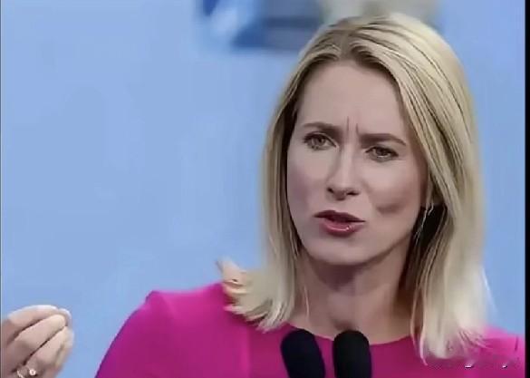 欧盟外长卡拉斯又闹了个国际笑话。比利时坚决不同意动用冻结的俄罗斯资产，卡拉斯愤怒