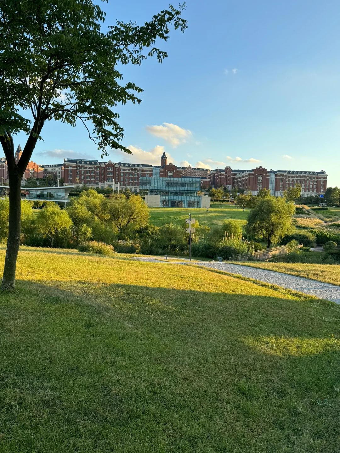 ·青岛 真不缺好看的公园啊⛲️🌳🌅！！！