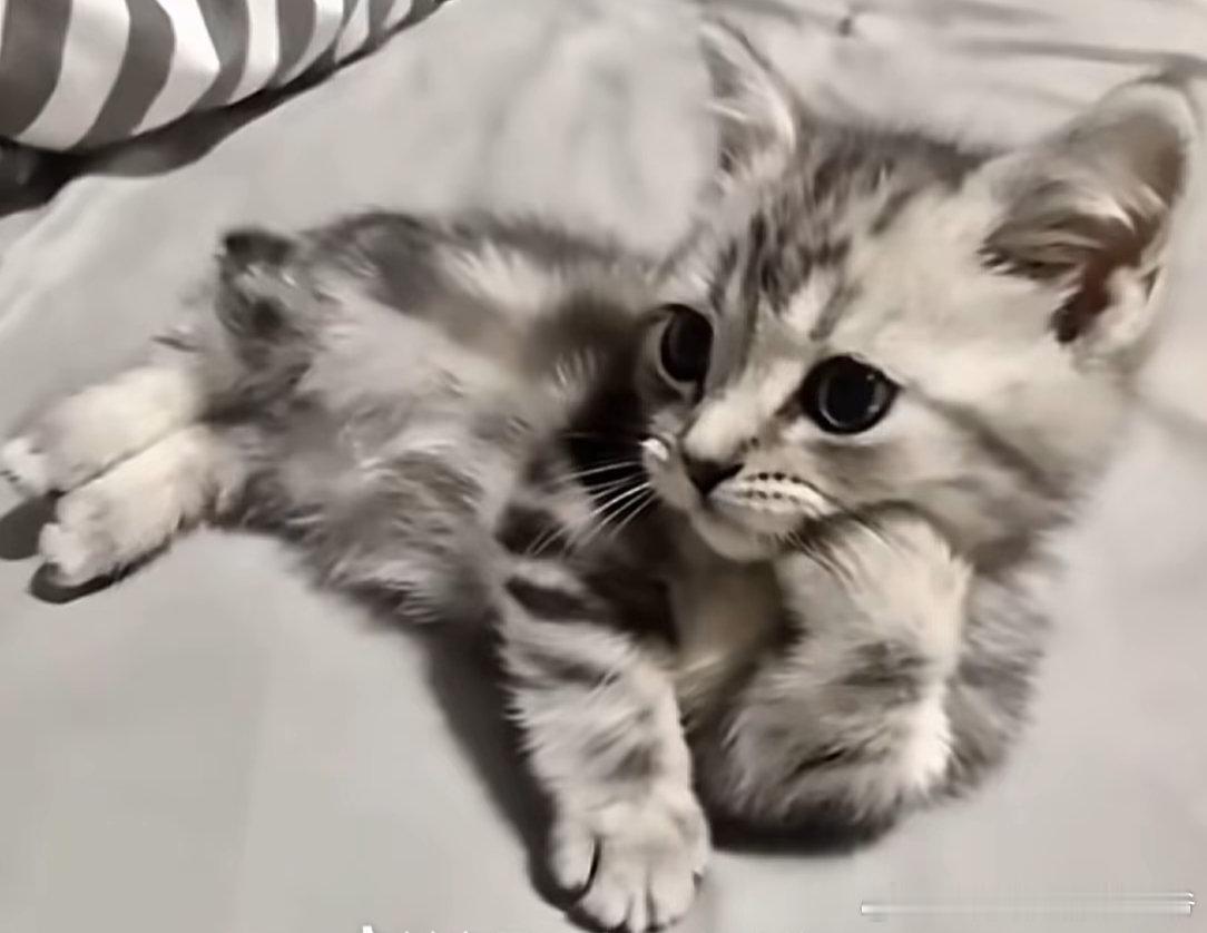 全运会看到现在也应该明白本就应该明白的道理。排球比赛团体相当重要，下三路小环节稀