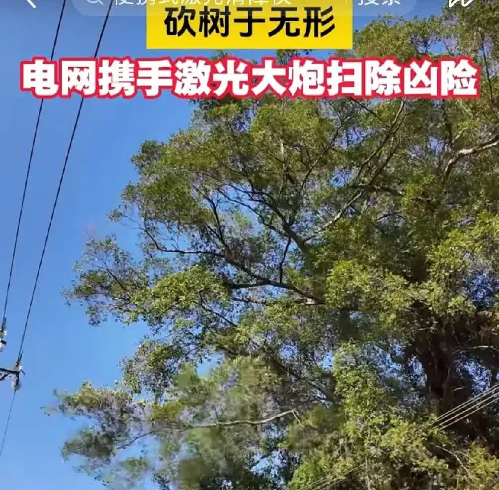 广东云浮电力局近几日使用一种“激光炮”清障，网上疯传。据说，因为一棵树的树枝