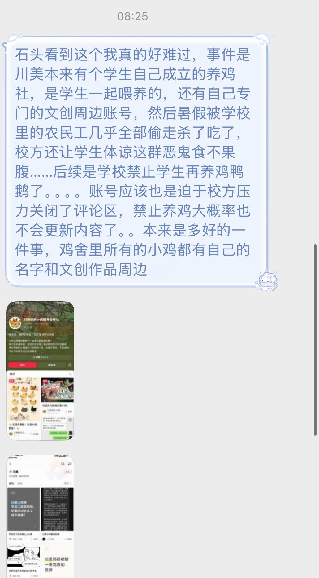 这个小鸡喂养合作社是川美师生成立的合作项目，还有获得外部投资，但学生用两年时间悉