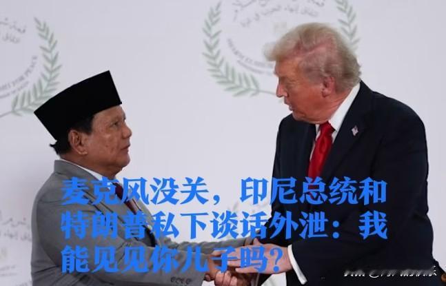 麦克风没关，印尼总统和特朗普私下谈话外泄：我能见见你儿子吗？据外媒报道