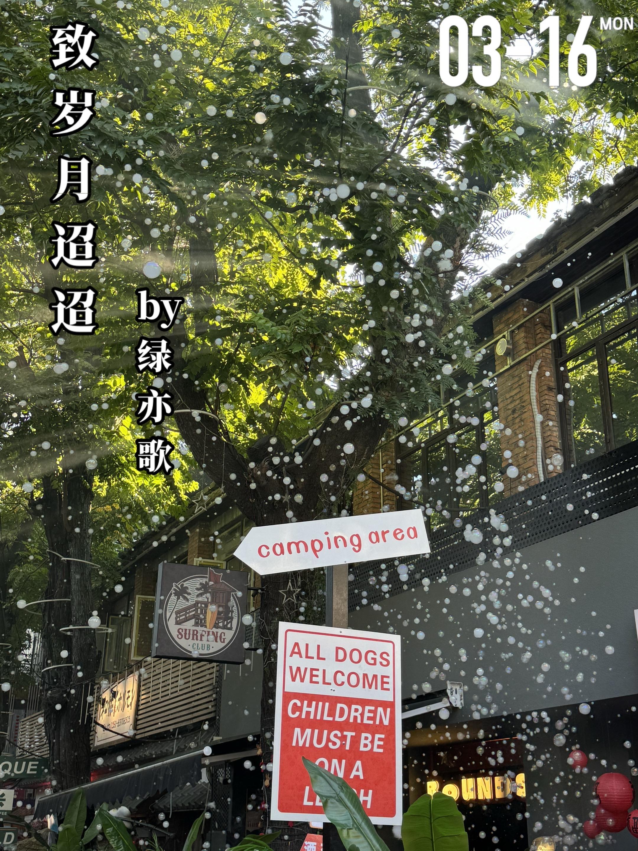 《致岁月迢迢》by绿亦歌。十一岁时，赵一玫（女主）随着母亲改嫁到沈家...