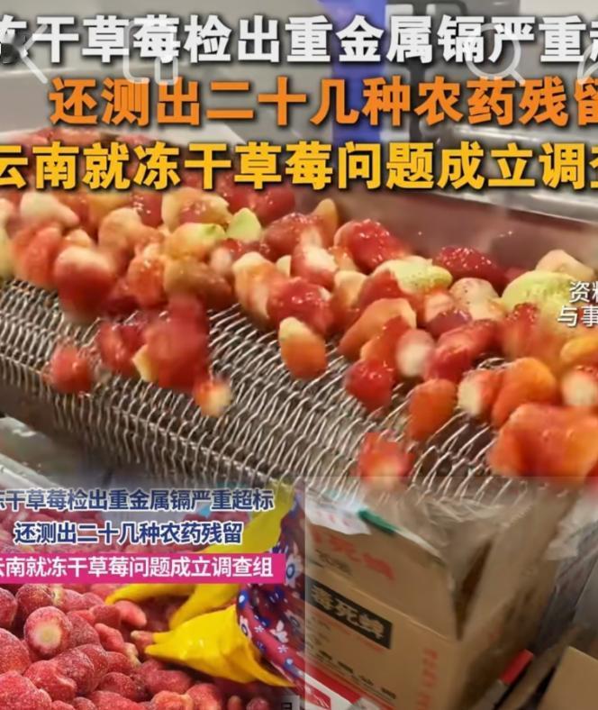 21吨冻干草莓农药超标？这下咱们可算是开了眼了！不是偶然失误，不是单一批
