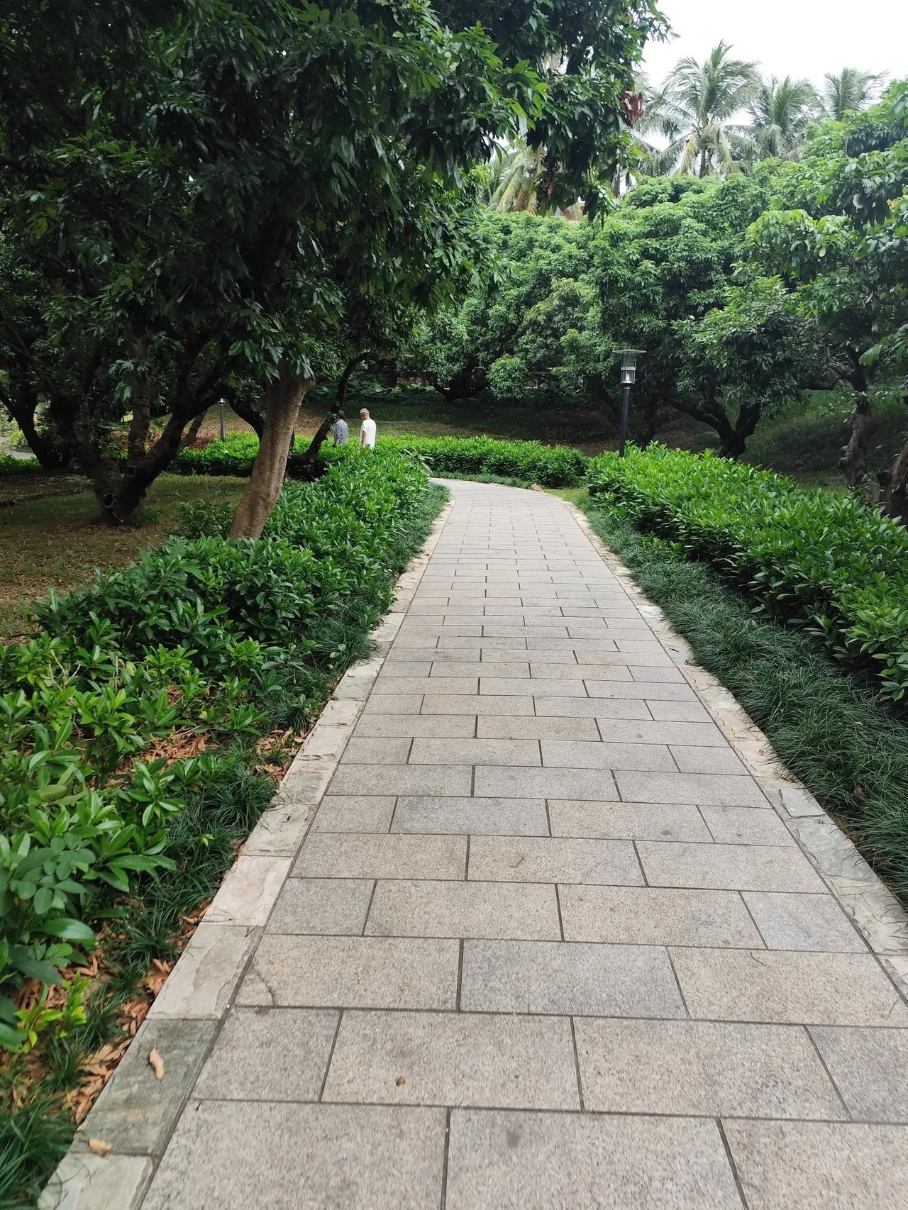 有人说在山东不能上三个菜，这都是一知半解，我在山东和朋友喝酒经常三个菜，首先，菜