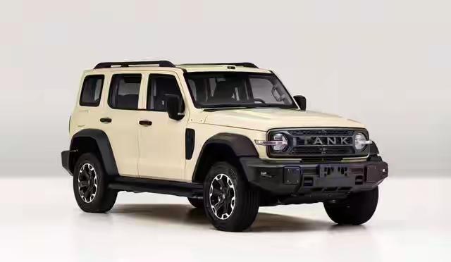 坦克300的历史地位不用我多介绍了吧，大家都非常熟悉，在售的坦克300一直都没有