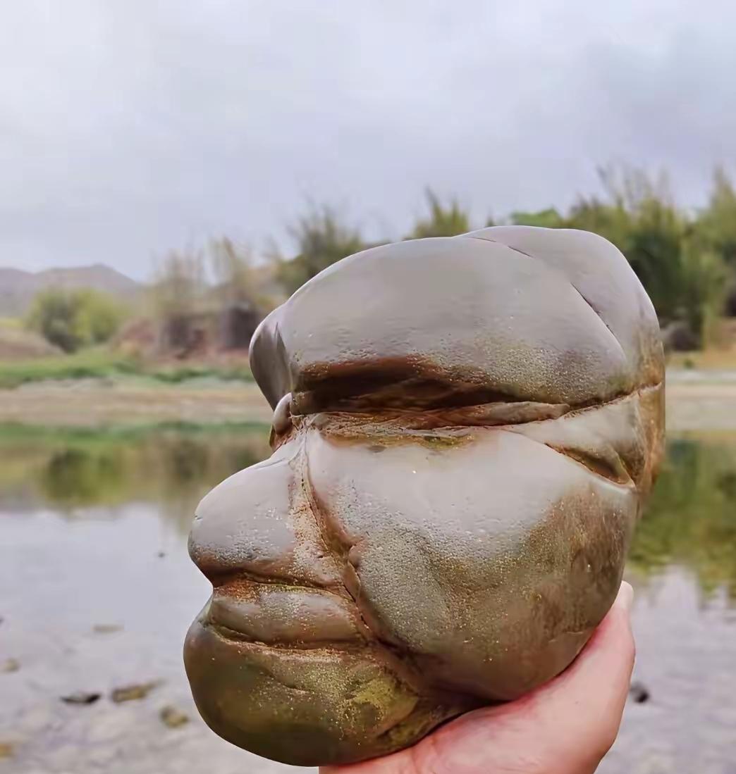 这样的石头有可能是化石，遇到这样的石头最好不要私自收藏，私自收藏的话有可能会犯法