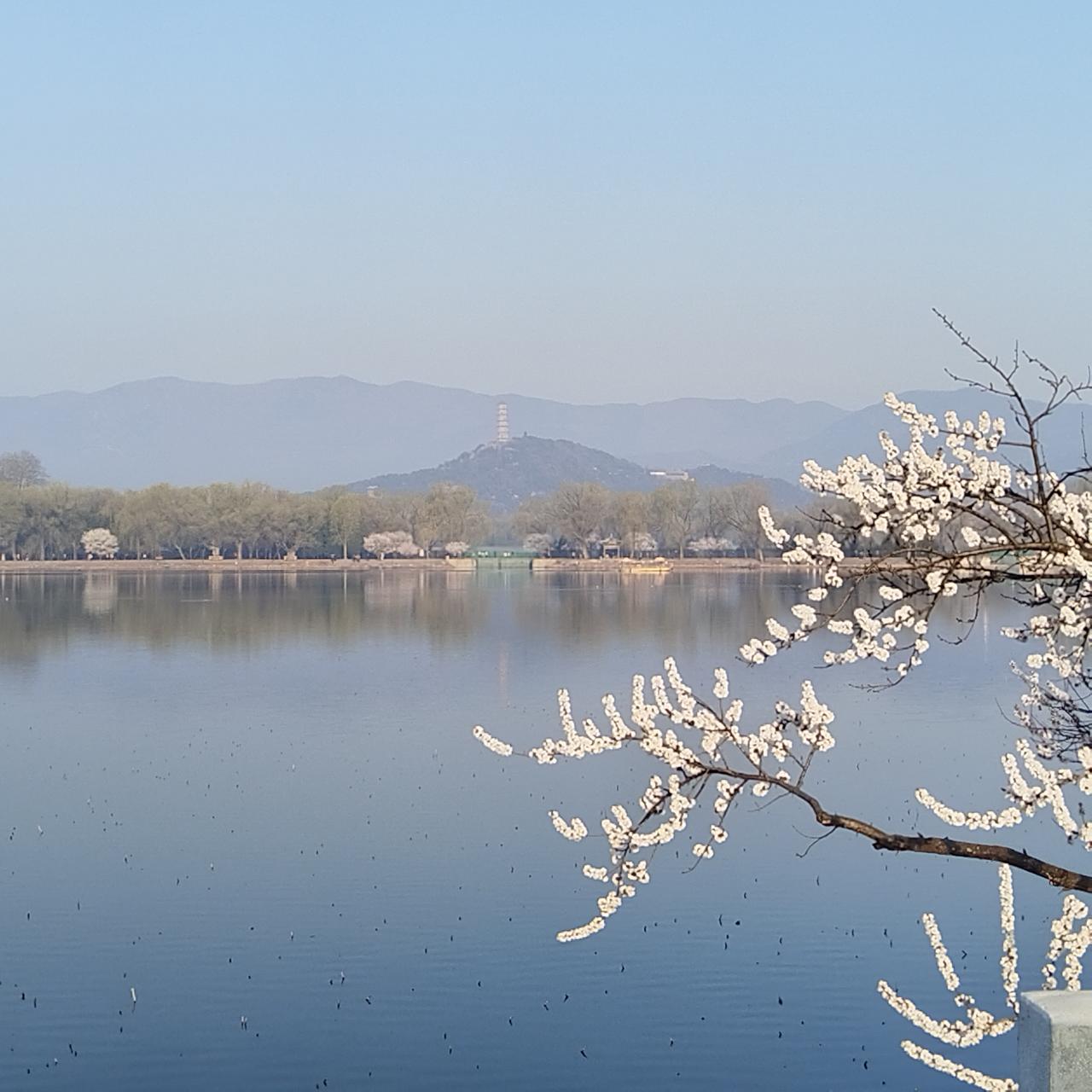 2026年北京市高招本科普通批录取投档线公布北京孩子只要考到430分就能有大学