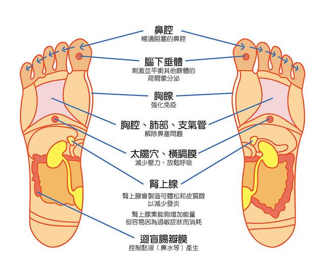 轻彩祛痘家课堂: 人体第二心脏, 你照顾好了吗?