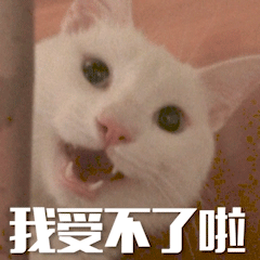 恋爱避雷，12星座最受不了另一半的行为每一条都是底线｜触碰直接扣分心寒：白羊：受