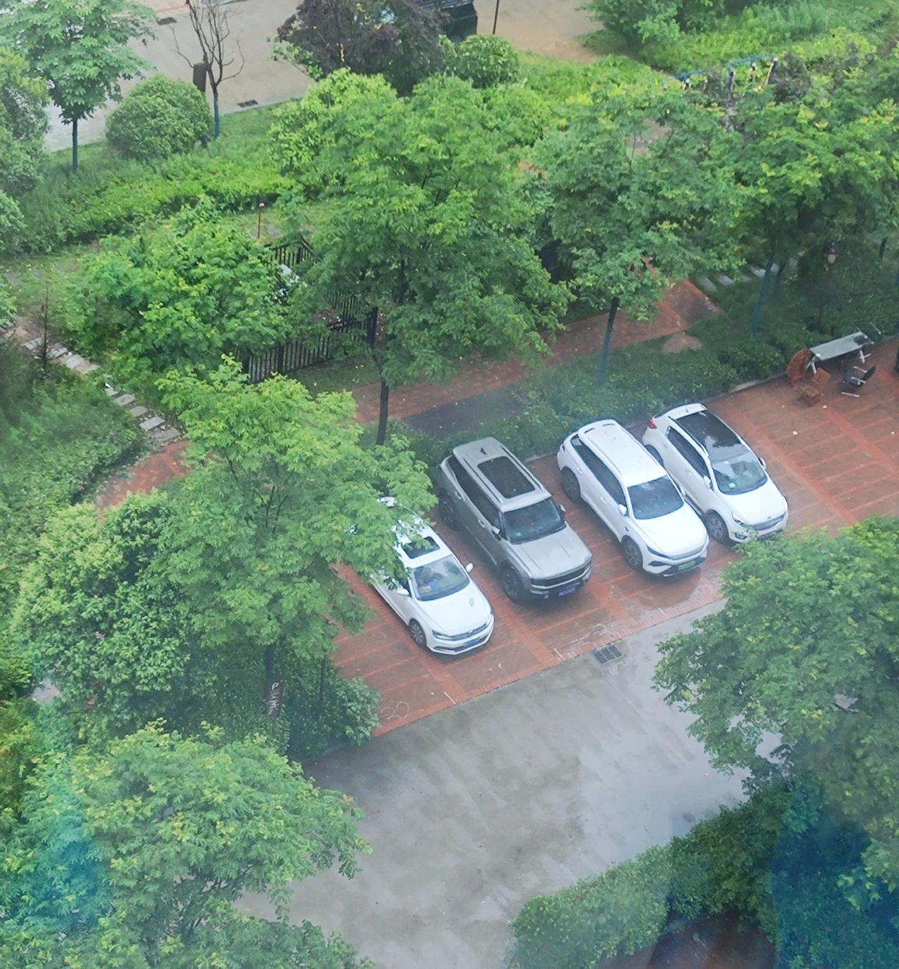 西安不敢再下雨了！[哭哭][哭哭][哭哭]农民真的好难，再这样下雨今年白鹿塬樱
