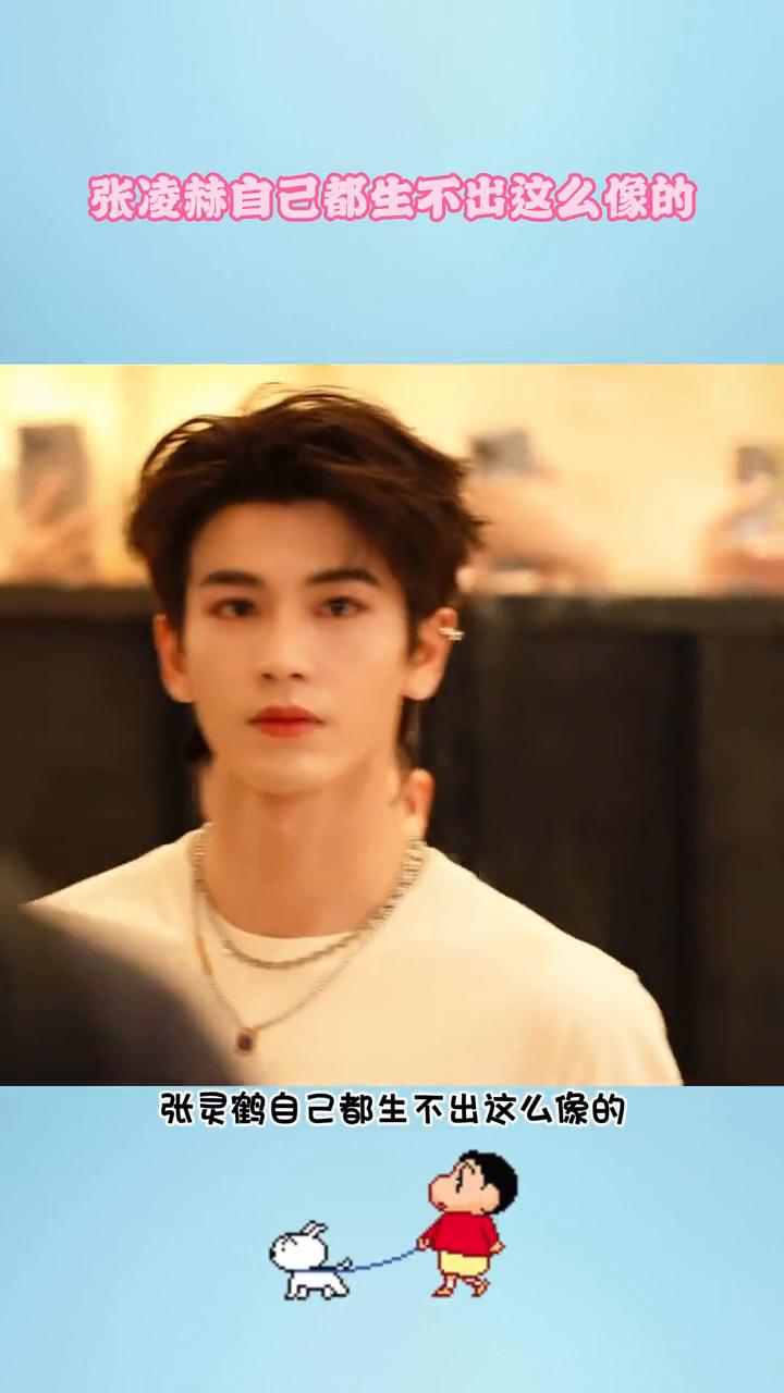 我说内娱是有什么长相玄学吗？果然准带大的就像谁，张灵鹤自己都生不出这么像的林子叶