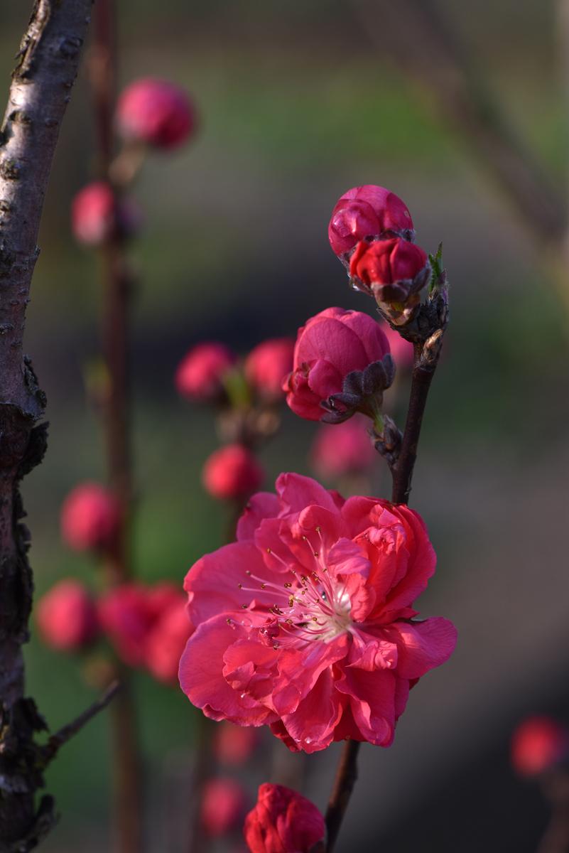 下联:盼君共我赏春辉。接着对下联友友们！