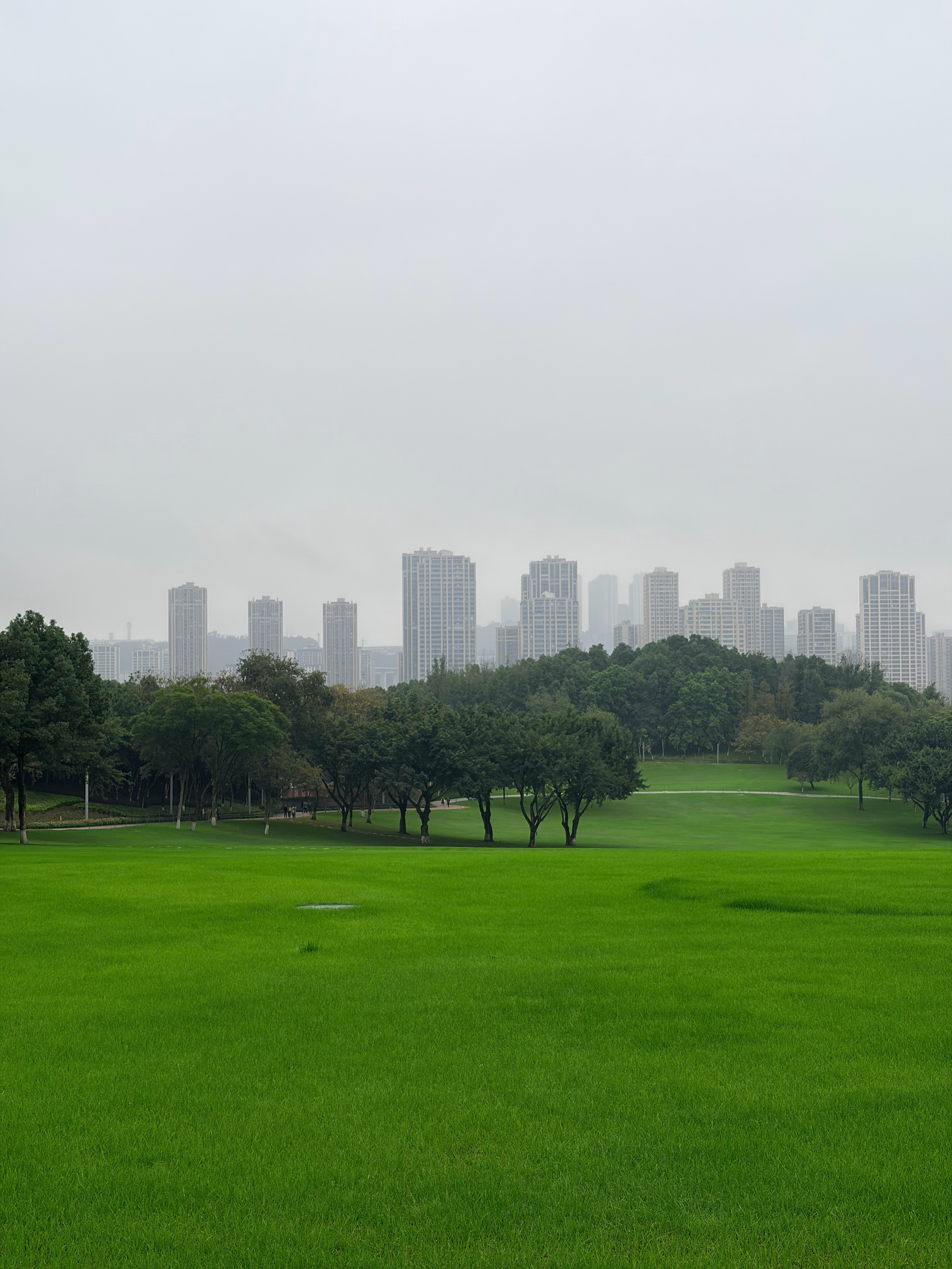 这么好的草坪没有狗屎可太好了。​​​