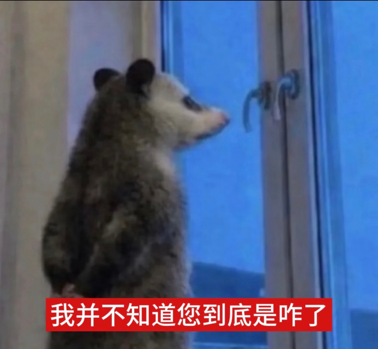 我不知道您到底是咋了