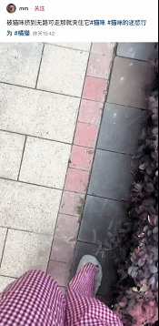 戒过毒吗？这怎么能忍住不摸一下宠物卖萌中心​​​
