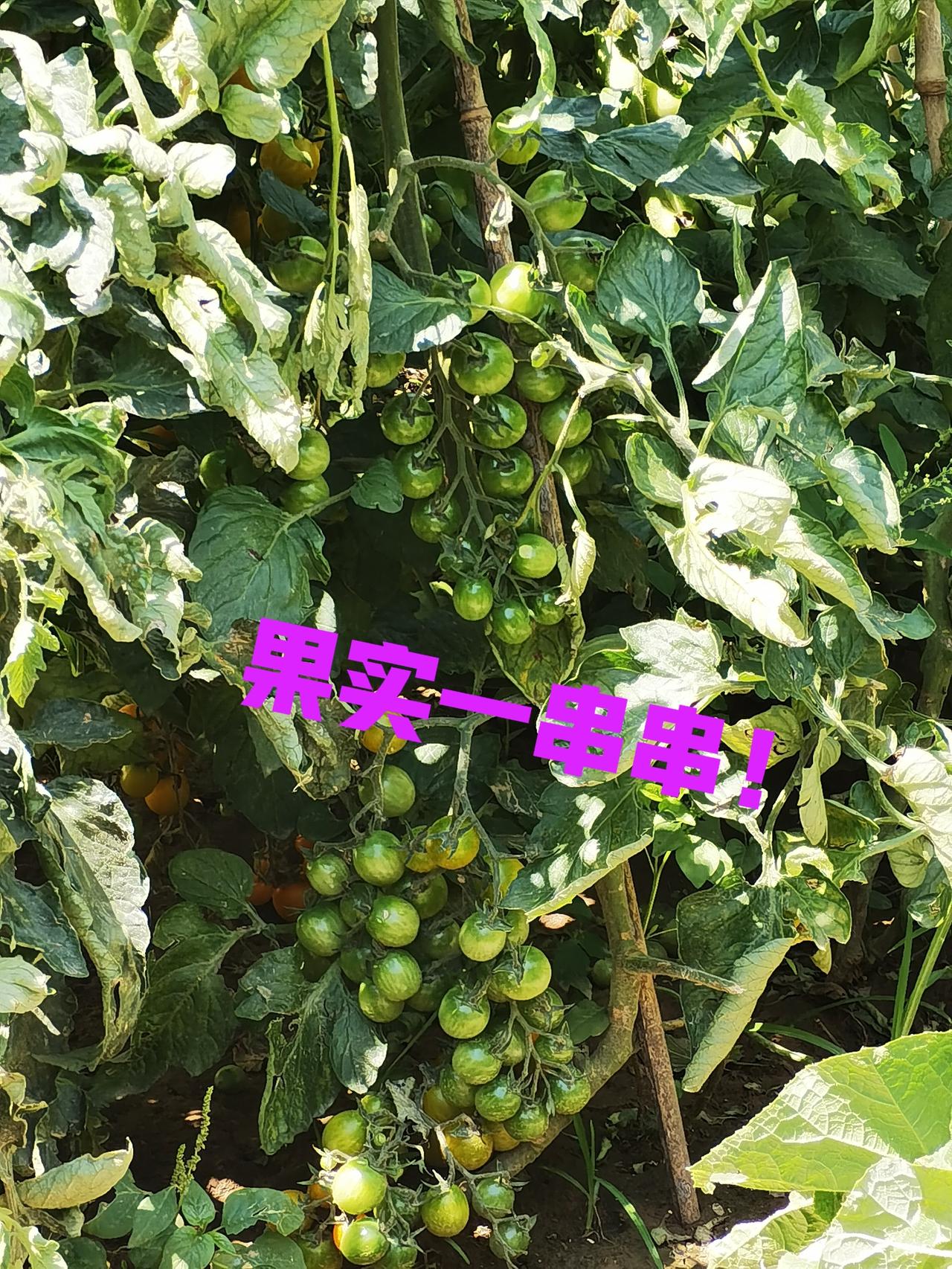 一个天上，一个地下，太扎心了！今天特别受打击，因为看到一个数据，说是我们河北退休