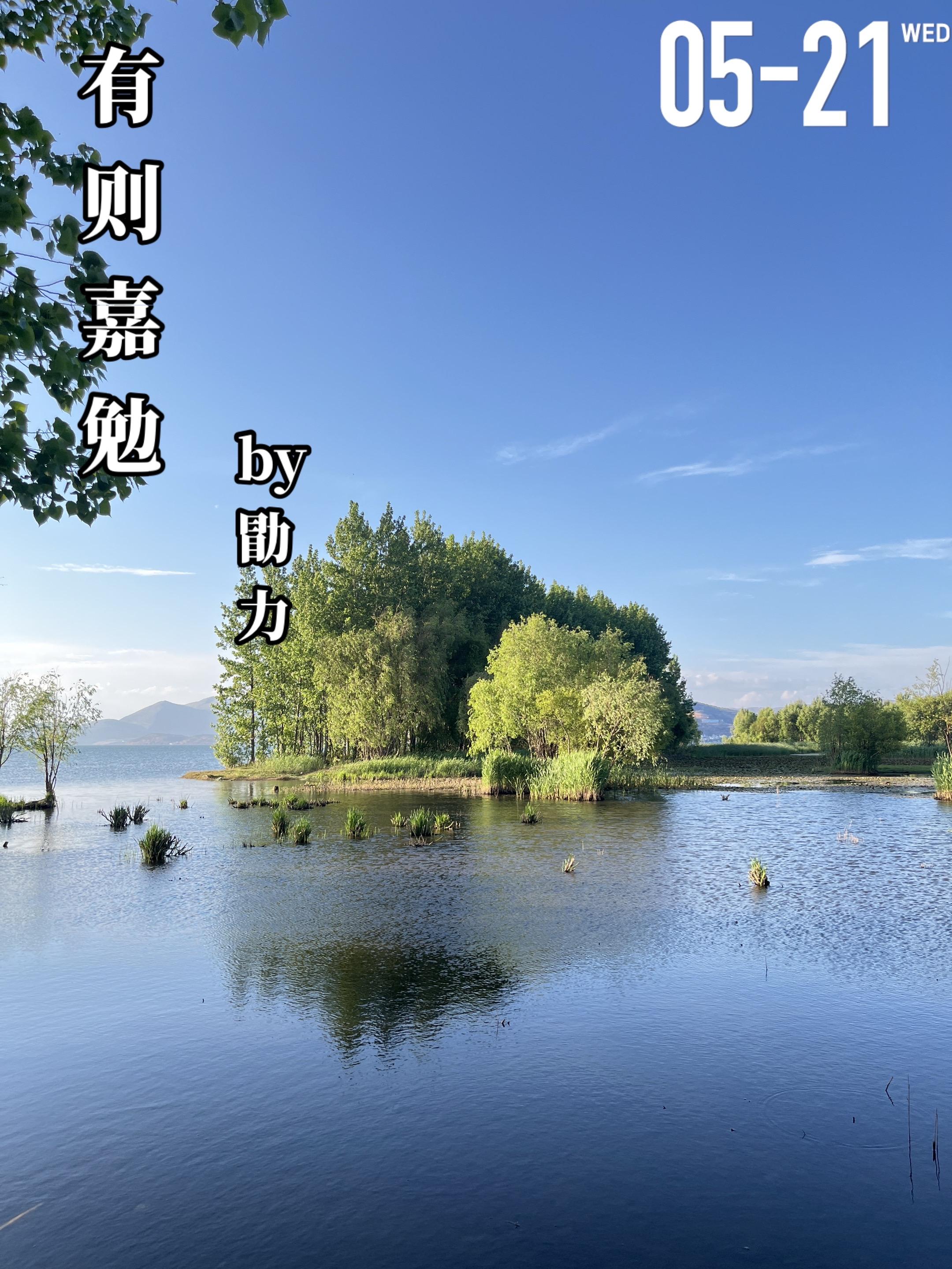 《有则嘉勉》by勖力。倪嘉勉自小父母L婚，父亲忙于工作，她常年寄住在叔...